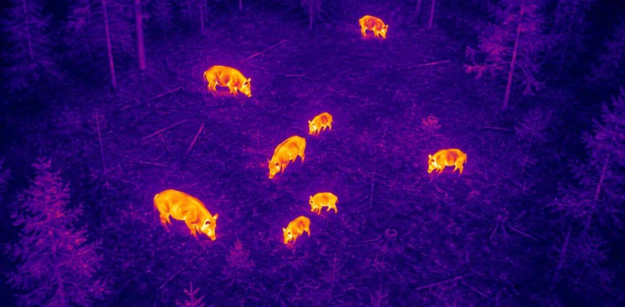 ASP Schutzbefliegung per Drohne für Überwachung und Prävention