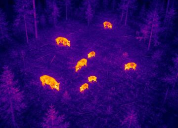 ASP Schutzbefliegung per Drohne für Überwachung und Prävention